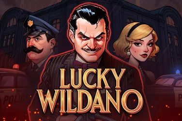 Wild Fireworks Game